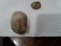 20180821_163519.webp