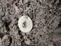 20181014_113525.webp