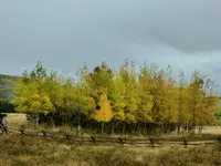 trip 083118 2.webp