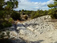 trip 102518 7.webp