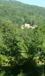 20180803_101636.webp