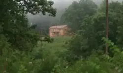 20180728_094725.webp
