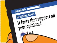 636139036607757448441601194_2015-05-12_facebook-likes-1.webp