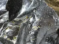 P1120202.webp