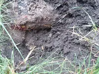 20181014_161958.webp