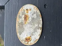 20180908_155128.webp