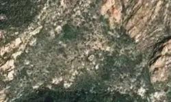 Vergine de Guadalupe.webp