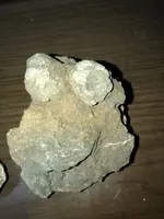 ImageUploadedByTreasureNet.com1538874528.181002.webp