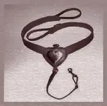 temp.breaststrap.webp