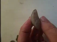 20180923_181100.webp