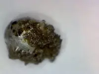 Silver Solder 2.webp