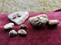 20180822_110200.webp