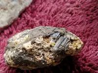 20180822_110233.webp