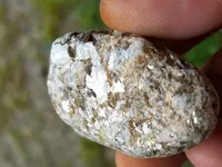 20180822_113140.webp