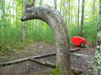 IndianTrailTreeTurtlebackArch4.webp