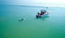 20180910_203039.webp
