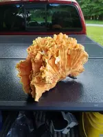 20180614_165104_resized.webp