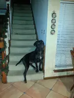 20121221_183539.webp