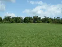 DSCF0011.webp