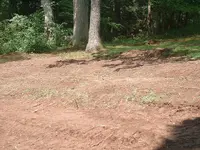 DSCF0016.webp