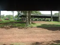 DSCF0017.webp