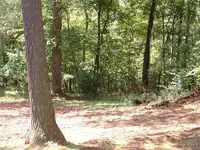 DSCF0023.webp