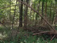 DSCF0020.webp