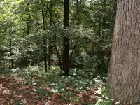 DSCF0014.webp