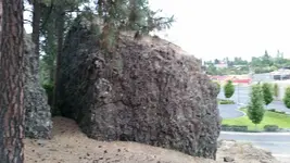 20180910_185329.webp