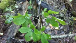 0918181241.webp