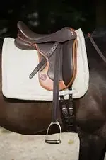 saddle.webp