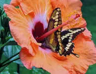K1600_DSCN9765.webp