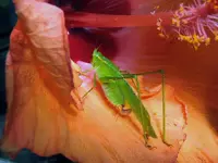 K1600_035.webp
