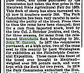 baltimoresheep2.webp
