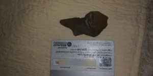 20180919_070105.webp