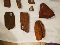 20181015_125250.webp