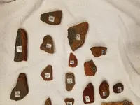 20181015_125333.webp
