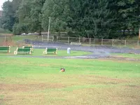 DSCF0003.webp