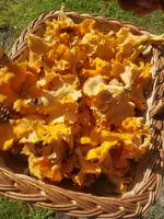 20180903_162749_resized.webp