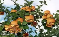 Burgertree.webp
