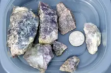 Lipidolite-2018-11-03-Img_2655SS.webp