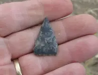 #267 Ed's thin chert triangle point.webp #267 Ed's thin chert triangle point.webp