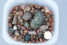 Agates-2018-11-03-Img_2662SS.webp