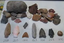 finds numbered.webp