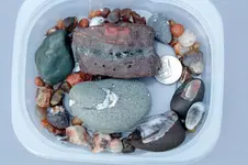 Agates-2018-11-03-Img_2663SS.webp