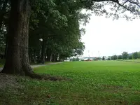 DSCF0001(1).webp