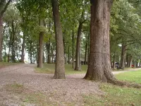 DSCF0002(1).webp