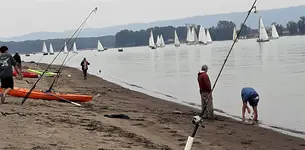 20180825_114822.webp 20180825_114822.webp