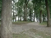 DSCF0003.webp