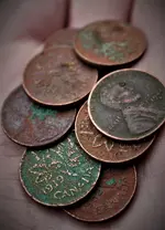 IMG_7934.webp